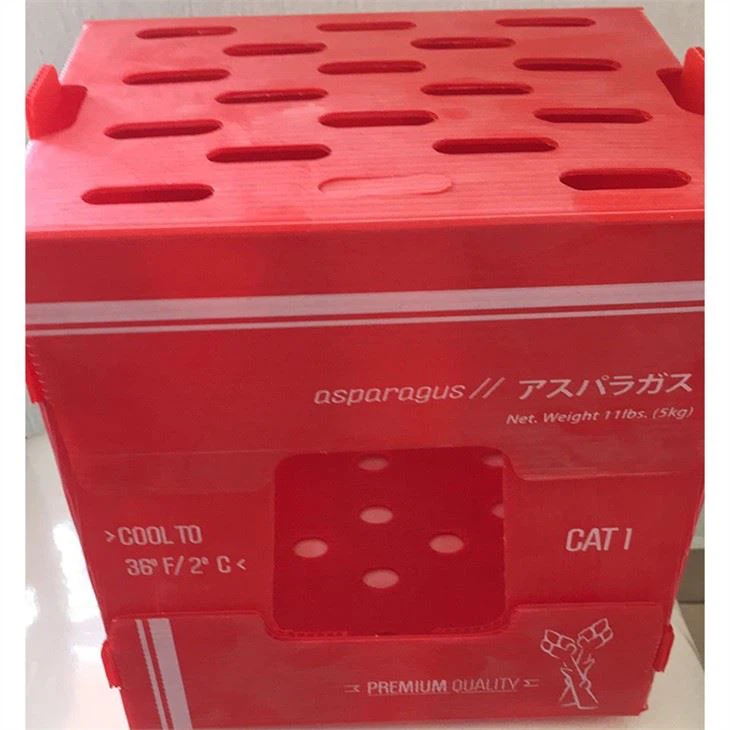 vegetable packaging plastic box