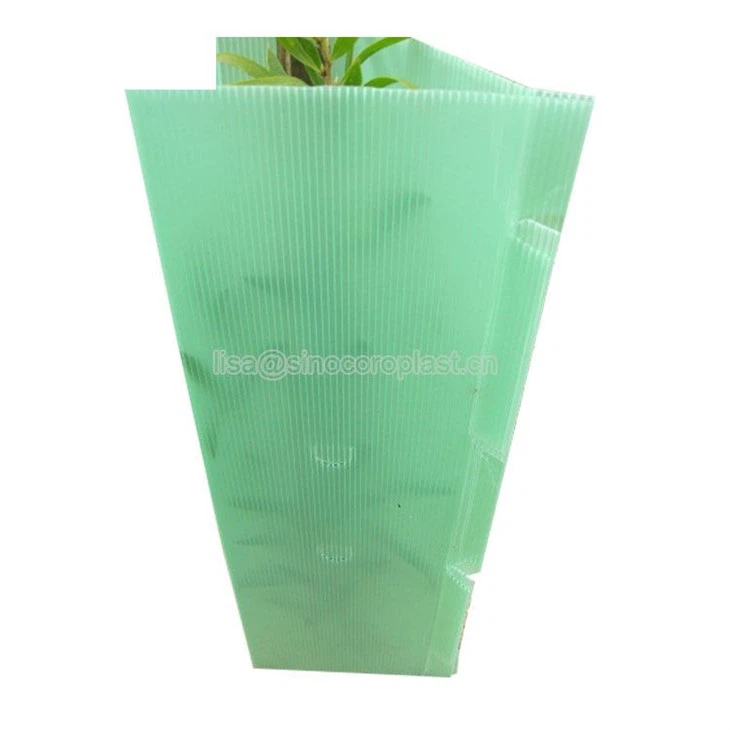 Plastic Corflute Tree Guards Plant Protection